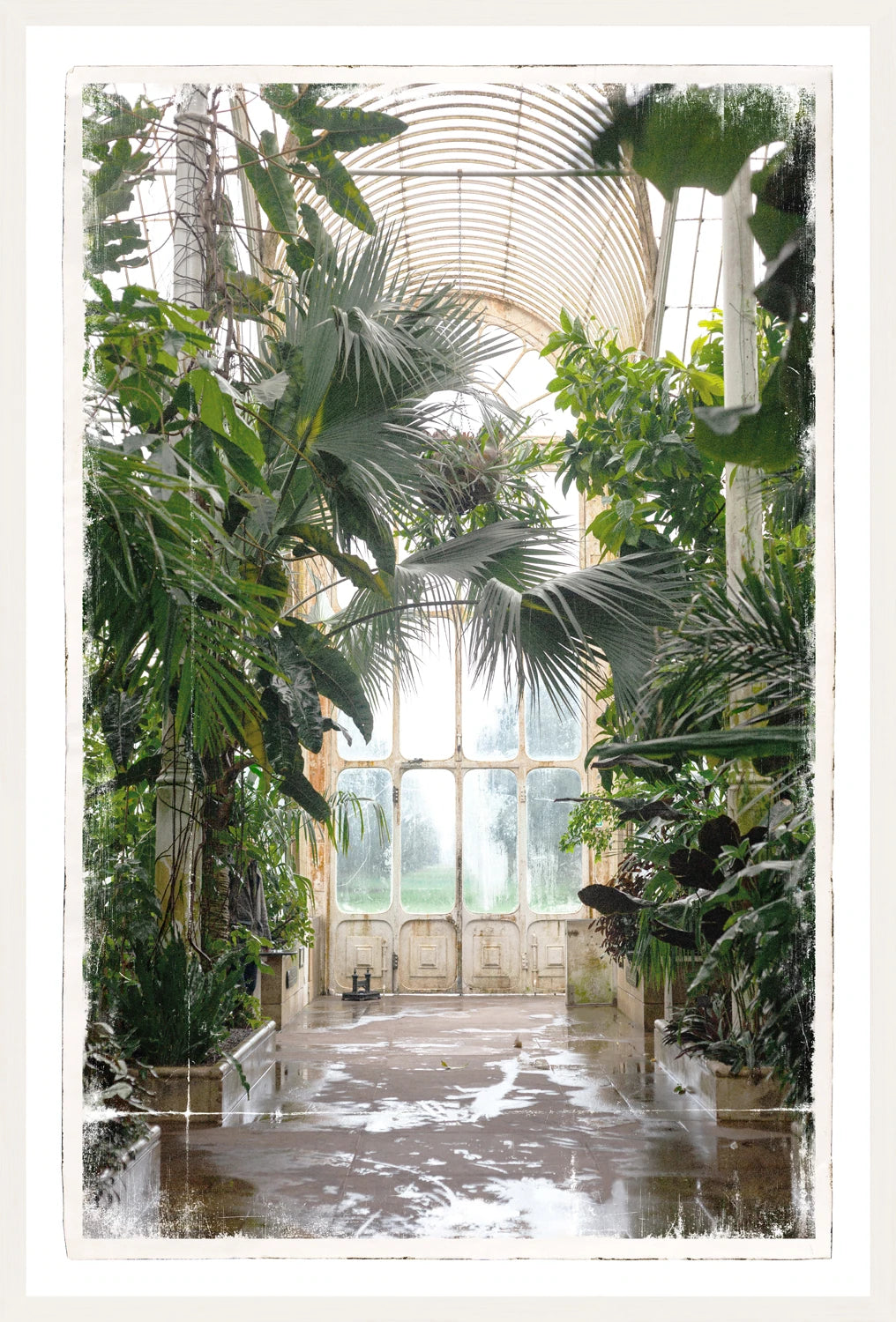 Greenhouse landscape art.