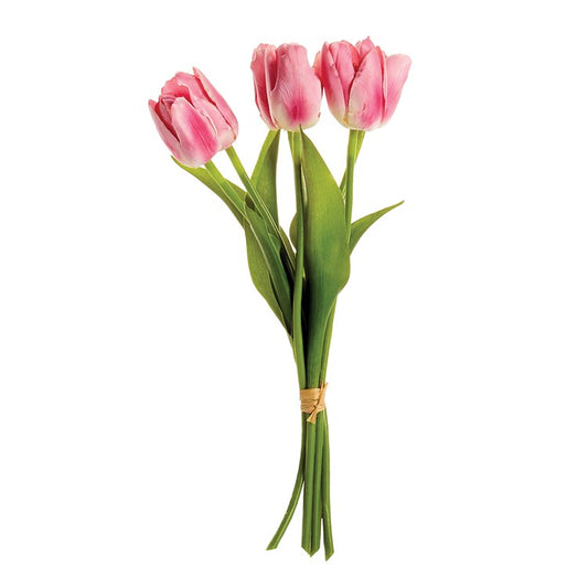 Dutch tulips Pink and white