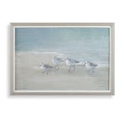 Tranquil Shorebirds on the Sand Framed Print