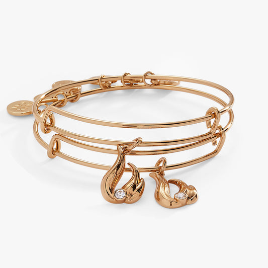 Twin Flame BFF Bangle set of 2