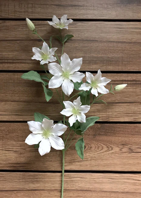 White Clematis Spray