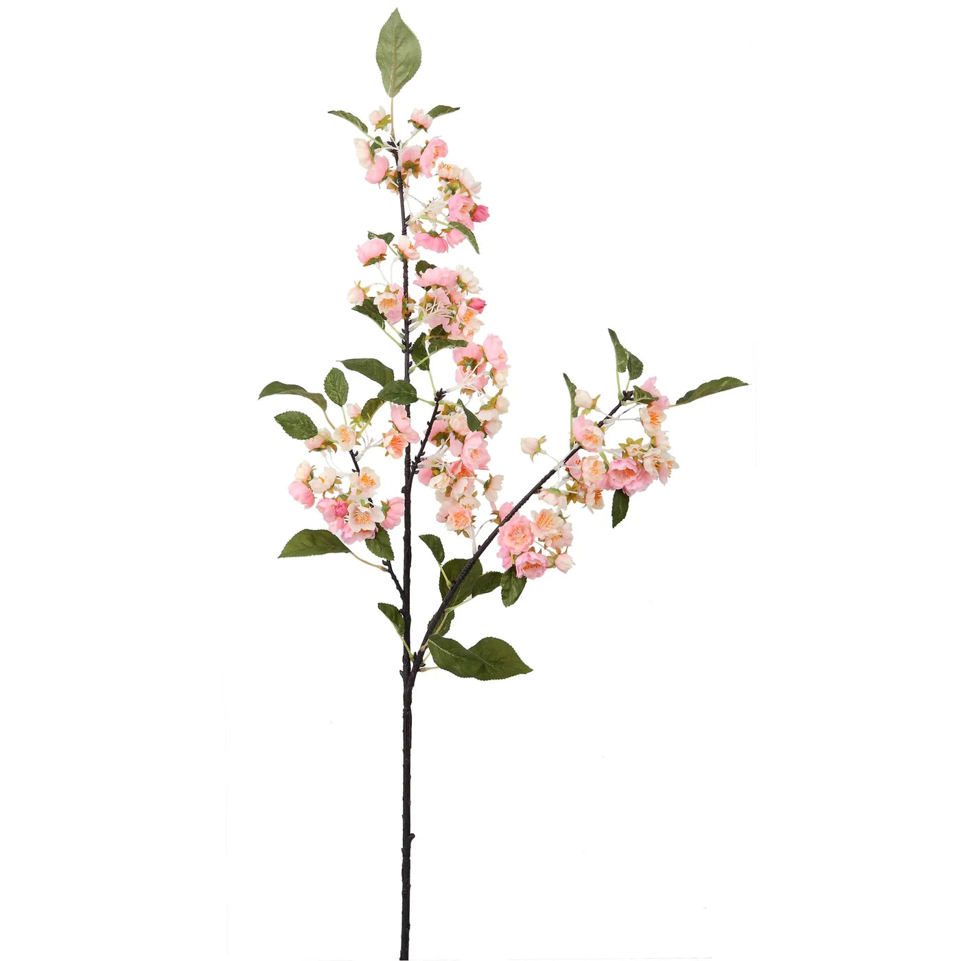 YOSHINA CHERRY BLOSSOM 42''