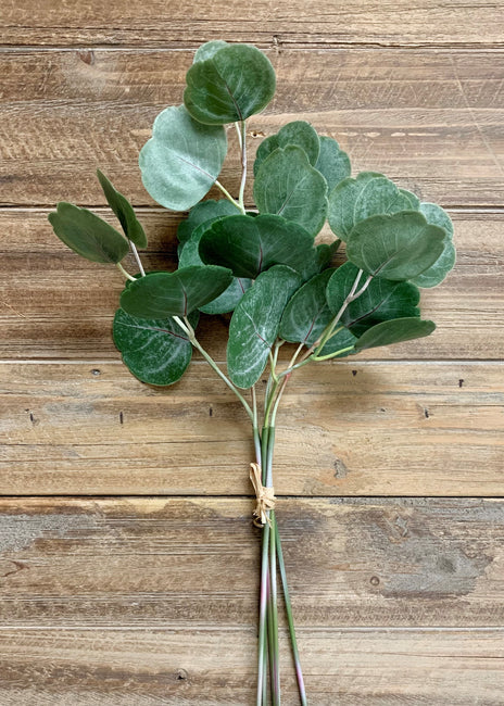 Silver Dollar Eucalyptus Pick Bundle