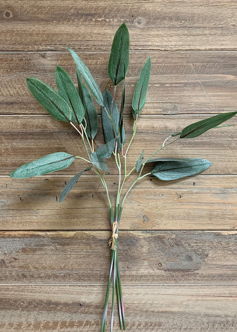 19" Willow Eucalyptus Bundle