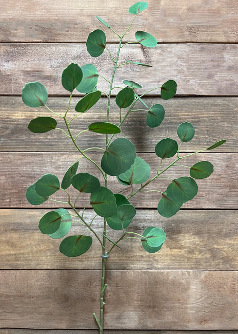 Silver Dollar Eucalyptus Pick 45.5"