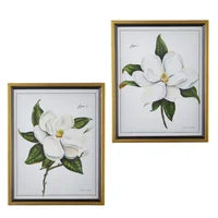 Magnolia Framed Prints