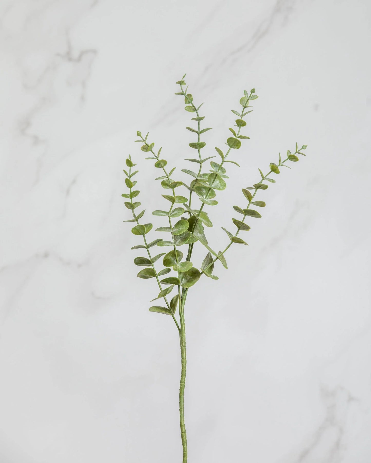Eucalyptus Leaf Green 28.5