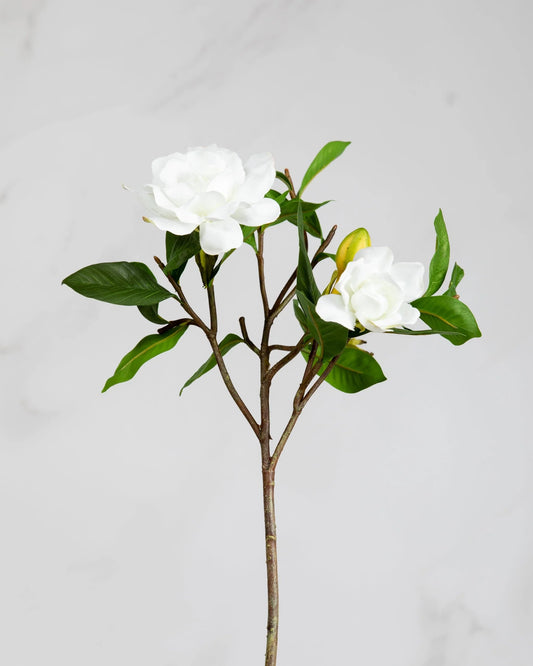 Gardenia 26" stem