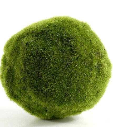 Moss Ball Pale Green